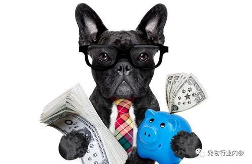 美國寵物食品市場持續(xù)增長 人類食品公司跨界寵物食品領(lǐng)域