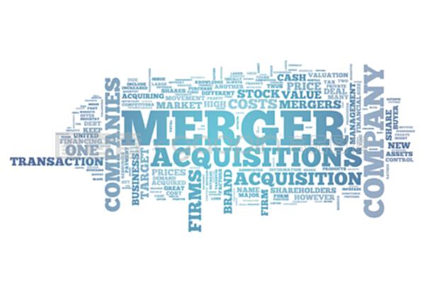 word云合并收購