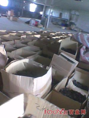 惠州專業二手設備回收 高價收購，信譽保障